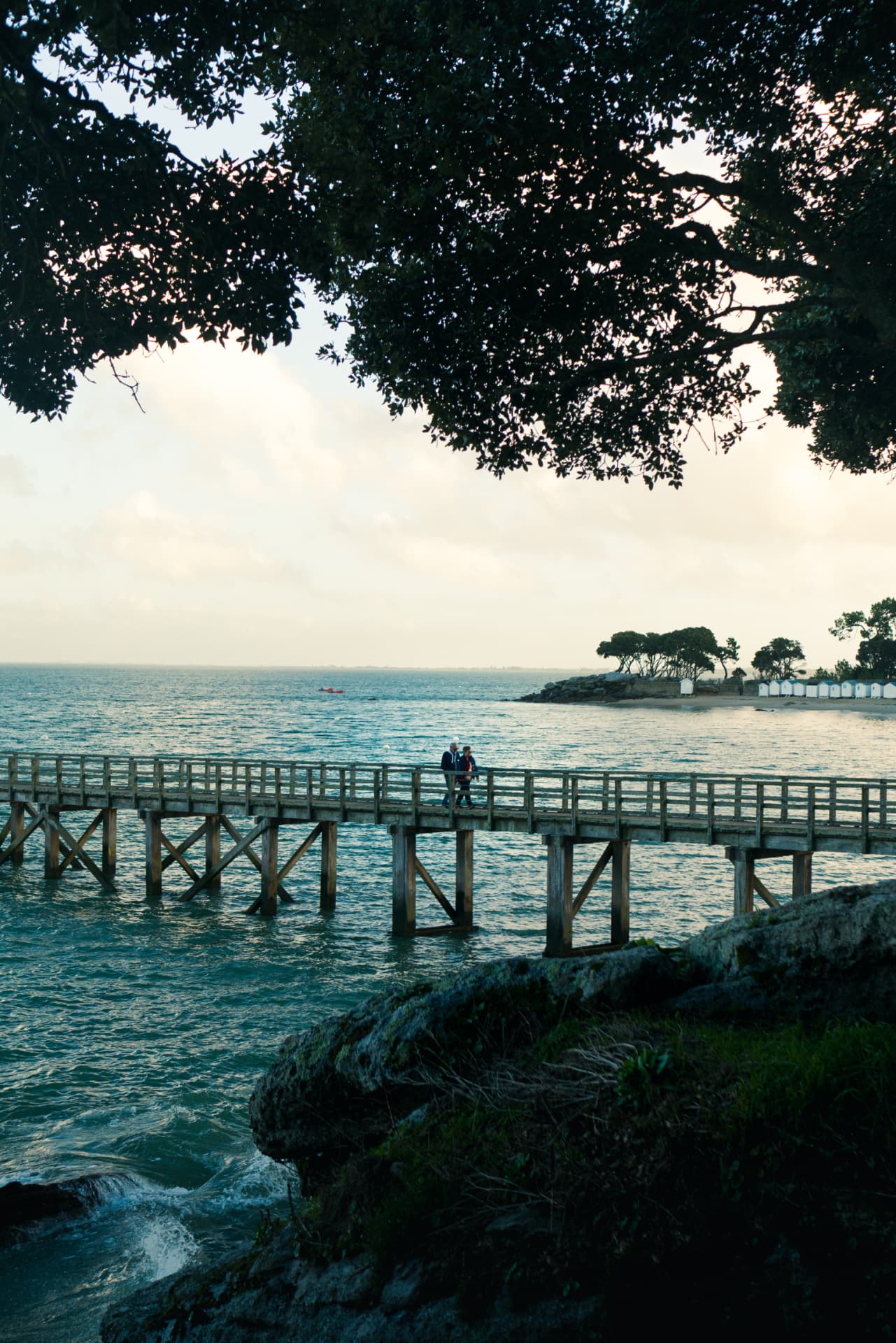People walking on a wooden pier above the sea beneath overhanging branches